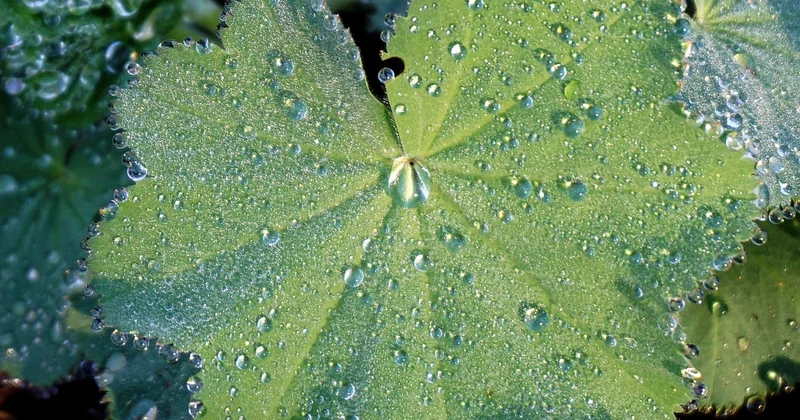 Hydratation, alcool et repas : le triple levier que l'on néglige