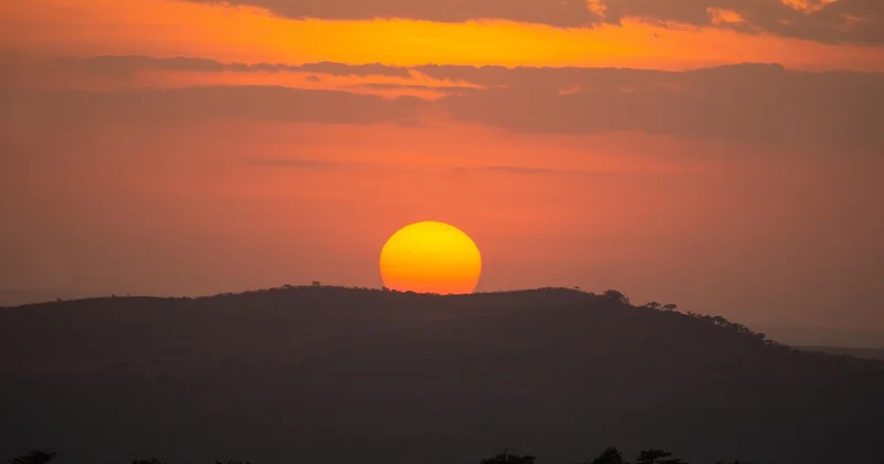 Le Serengeti : un parc, trois saisons