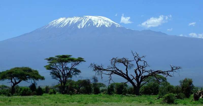 Tarangire, Manyara, Ruaha : les alternatives selon la saison