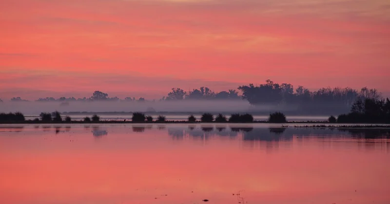 Comment visiter le parc Doñana sans se tromper
